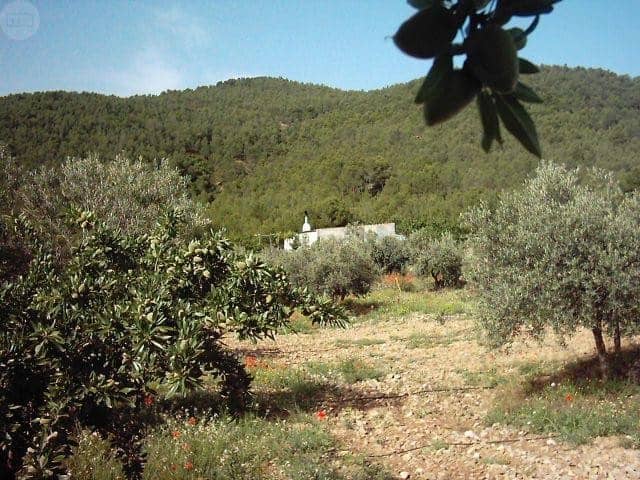Farm property in Tijola, Almeria with olive trees and mountain views.