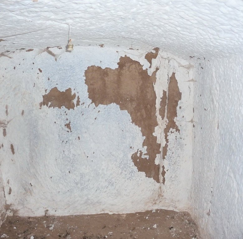 Cave house interior in Freila, Granada with rustic walls and natural stone features.