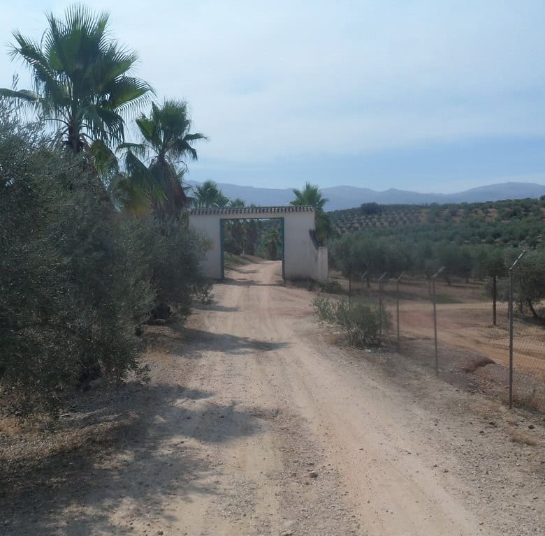 Commercial property in Loja, Granada with scenic rural surroundings and easy access.