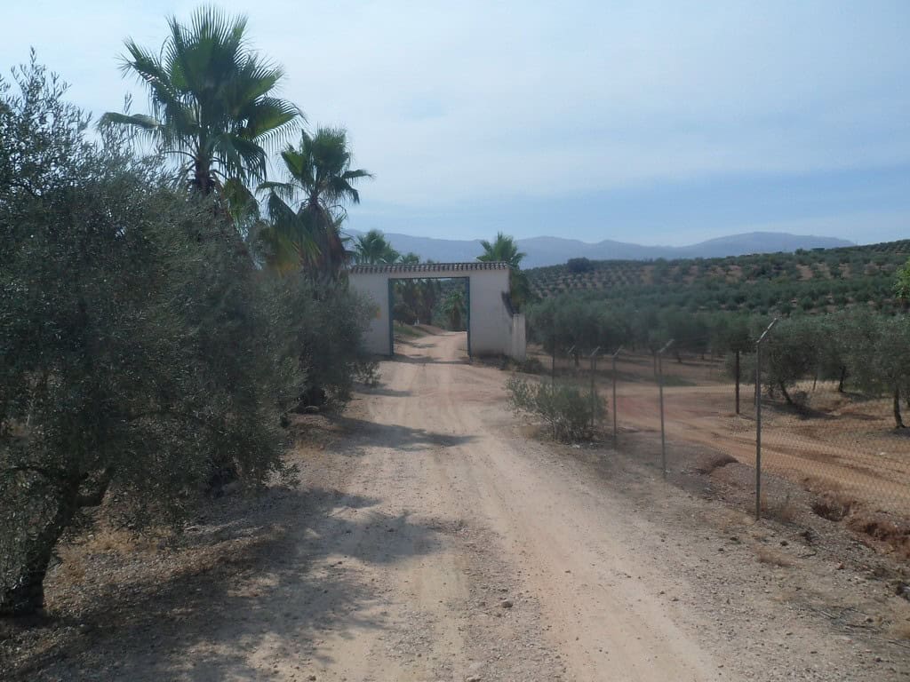 Commercial property in Loja, Granada for sale. Commercial property in Loja, Granada with scenic rural surroundings and easy access.