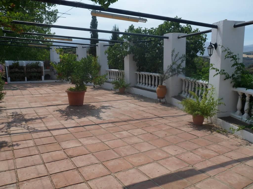 Commercial property terrace in Loja, Granada Commercial terrace with potted plants in Loja, Granada, Spain.