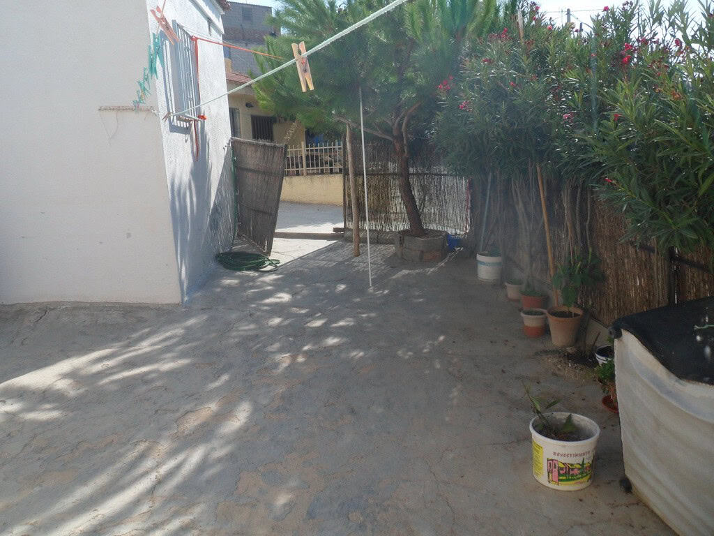 Cave house exterior in Cuevas del Campo, Granada with outdoor space and potted plants.