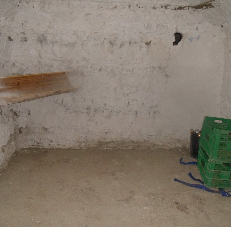Cave house interior with rustic stone walls in Benamaurel, Granada, ready for renovation.