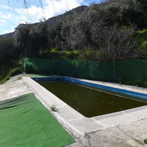 Swimming pool in rural property, Don Pedro, Jaen, Spain.