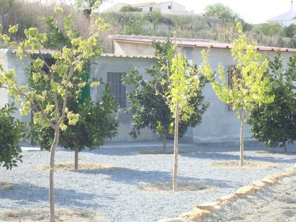 Charming rural property with trees in Cela, Almeria, ideal for countryside living.