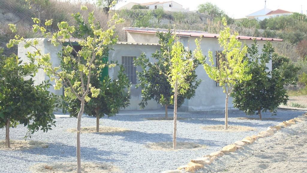 Charming rural property with trees in Cela, Almeria, ideal for countryside living.