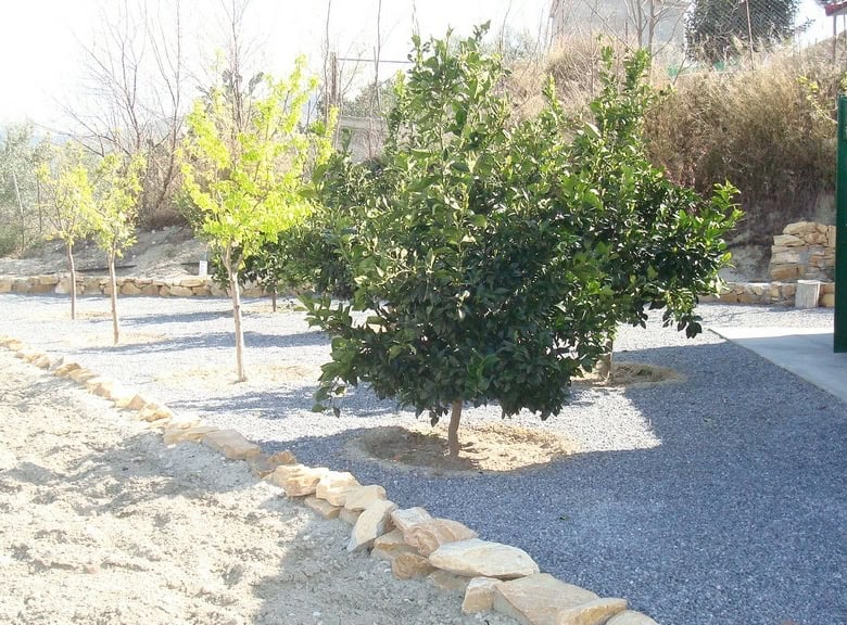 Charming rural property with lush greenery in Cela, Almeria, ideal for countryside living.