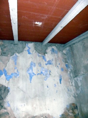 Interior wall with peeling paint and exposed concrete in a rural property.