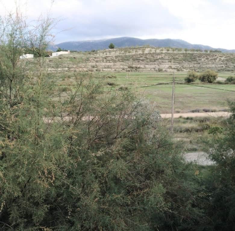 Rural property for sale in La Alqueria, Granada, surrounded by natural landscape and scenic views.