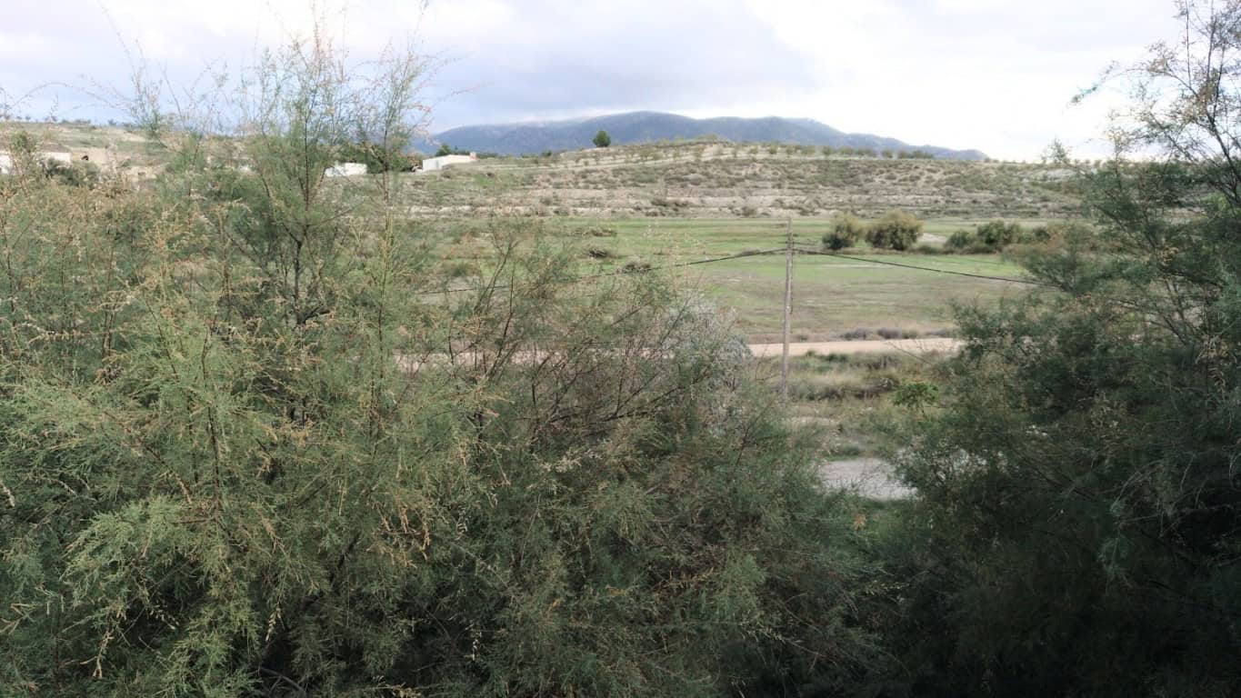 Rural property for sale in La Alqueria, Granada, surrounded by natural landscape and scenic views.