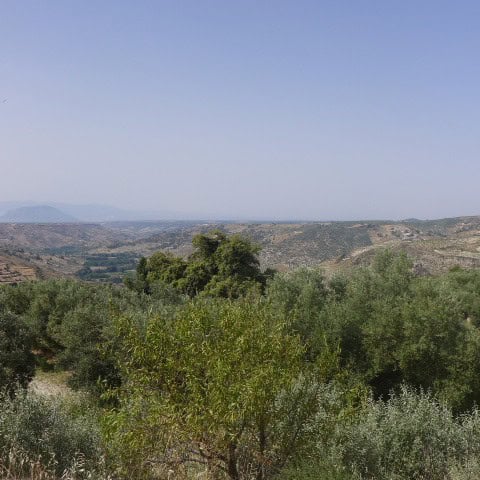 Rural property for sale in Castril, Granada, surrounded by lush greenery and scenic mountain views.