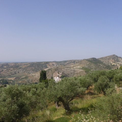 Rural property surrounded by olive trees in Castril, Granada, with scenic mountain views.