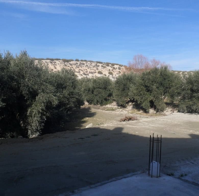 Farm property with open land and surrounding trees in Benamaurel, Granada.