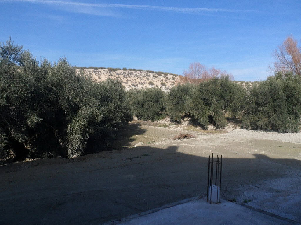 Farm property with open land and surrounding trees in Benamaurel, Granada.