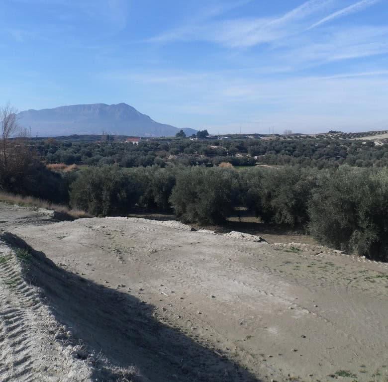 Farm property with scenic views of mountains and olive groves in Benamaurel, Granada. Ideal for agri.