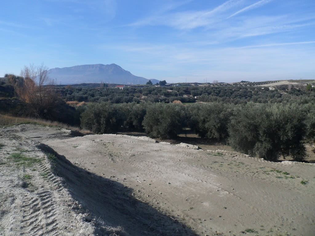 Farm property with scenic views of mountains and olive groves in Benamaurel, Granada. Ideal for agri.