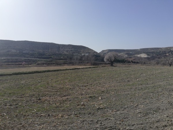 Farm property in Orce, Granada with open fields and scenic landscape.