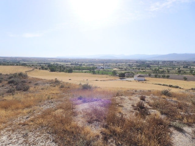 Cave house located in Baza, Granada, with scenic rural landscape and open fields.