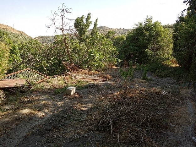 Rural property land in Belerda, Jaen, with natural vegetation and scenic mountain views.