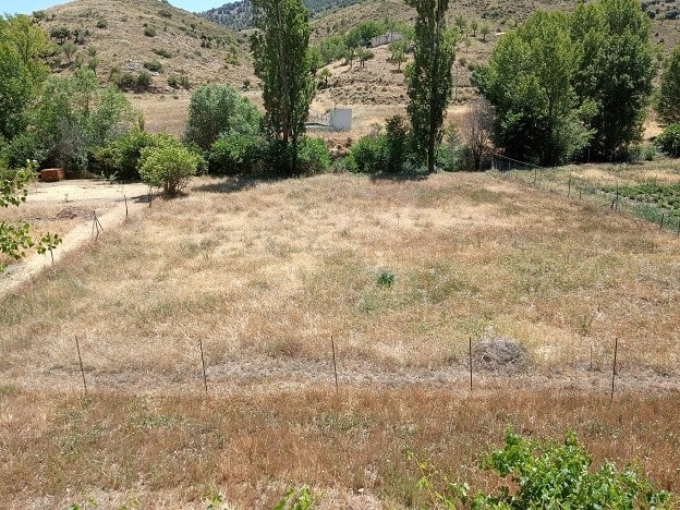 Beautiful rural land in Gor, Granada, ideal for farming or building a countryside retreat.