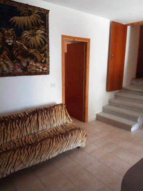 Beautiful interior of a rural property in Gor, Granada, featuring a tiger-themed sofa and vibrant wa.