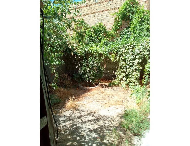 Village property garden with lush greenery and shaded area in Armuna, Almeria.