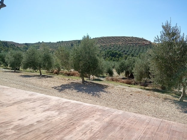 Elegant country estate with olive groves in Fontanar, Jaen, offering scenic views and peaceful rural.