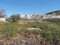 Beautiful rural land in Sufli, Almeria, ideal for farming or building a countryside home.