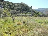 Beautiful rural land in Sufli, Almeria, ideal for farming or building a country home. Peaceful count.
