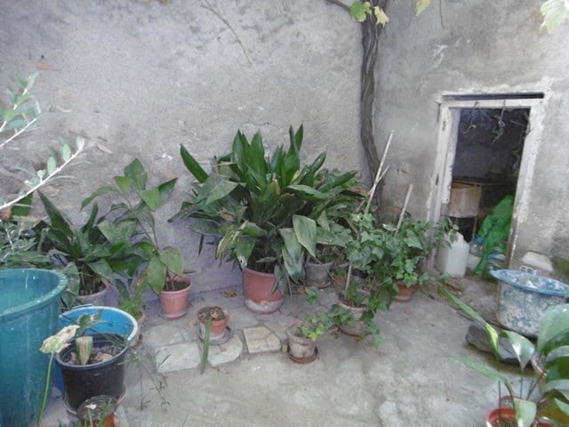 Charming outdoor garden space with potted plants and lush greenery in Tijola, Almeria.