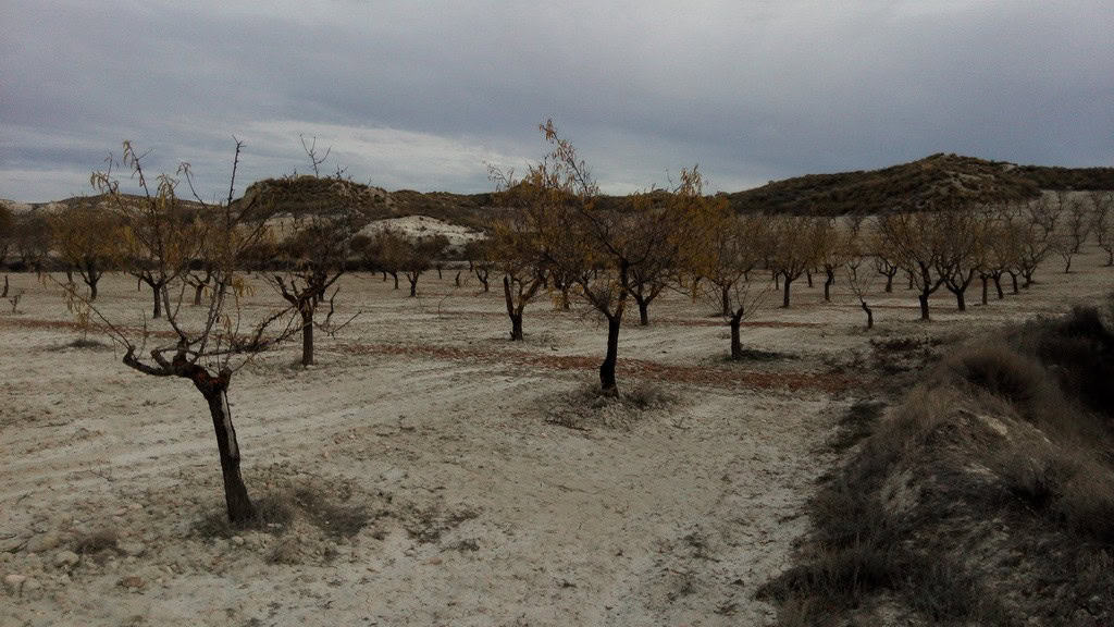 Commercial property for sale in Cortes de Baza, Granada, with scenic landscape and rural surrounding.