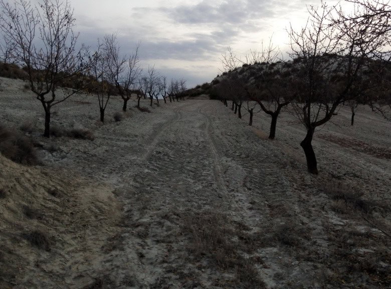 Commercial property in Cortes de Baza, Granada with scenic landscape and rural surroundings.