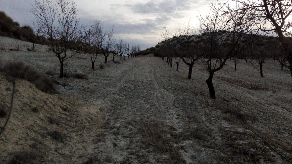 Commercial property in Cortes de Baza, Granada with scenic landscape and rural surroundings.