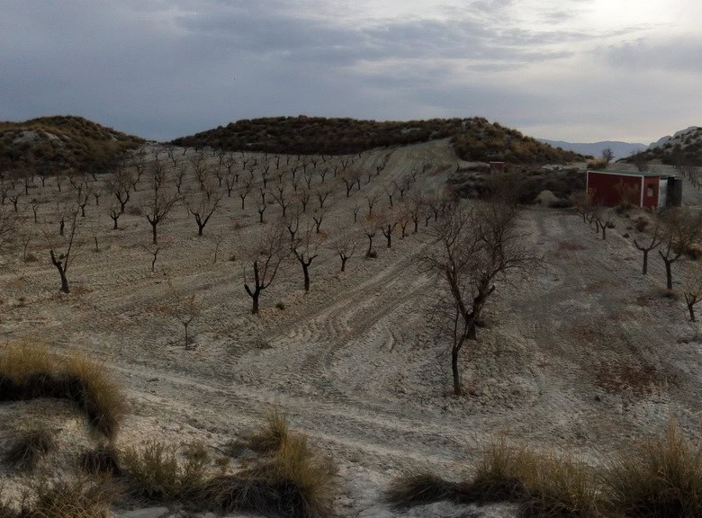 Commercial property in Cortes de Baza, Granada with scenic landscape and surrounding orchard.