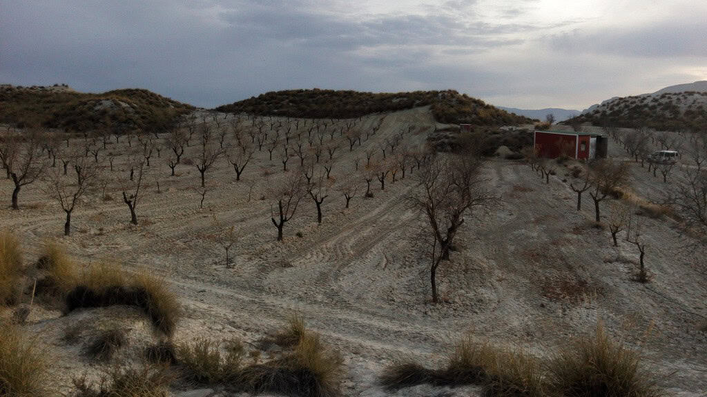Commercial property in Cortes de Baza, Granada with scenic landscape and surrounding orchard.