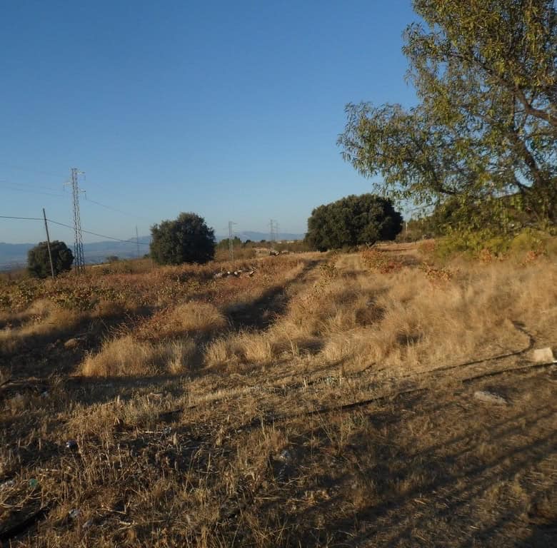 Land for sale in Baza, Granada, Spain, ideal for development or agriculture.
