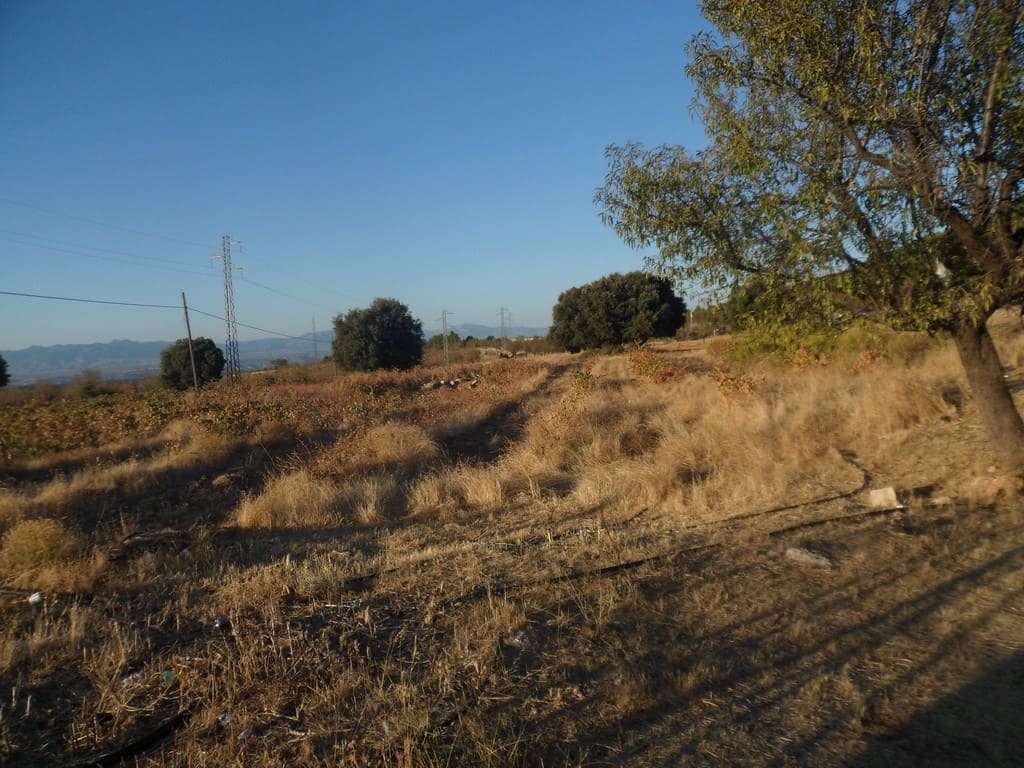 Land for sale in Baza, Granada, Spain, ideal for development or agriculture.