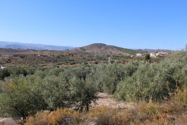 Rural property with olive groves in Tijola, Almeria, offering scenic mountain views and peaceful cou.