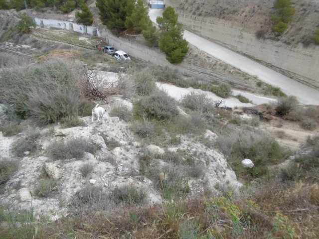 Cave house nestled in the hills of Benamaurel, Granada, offering unique living in a scenic rural set.