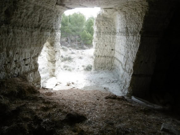 Cave house entrance in Benamaurel, Granada, surrounded by natural landscape and greenery.