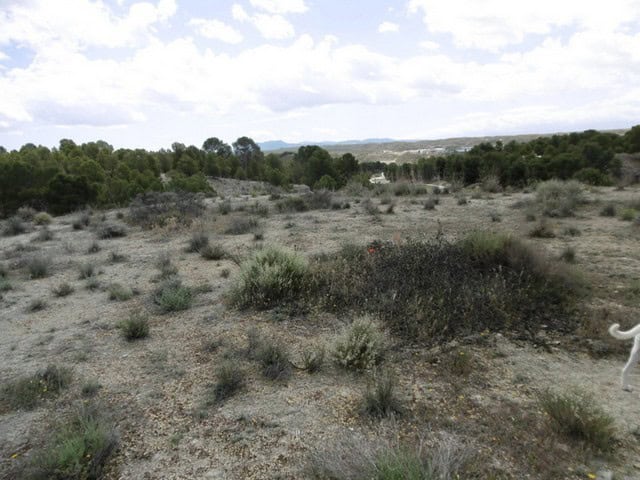Cave house located in Benamaurel, Granada, surrounded by natural landscape and desert vegetation.