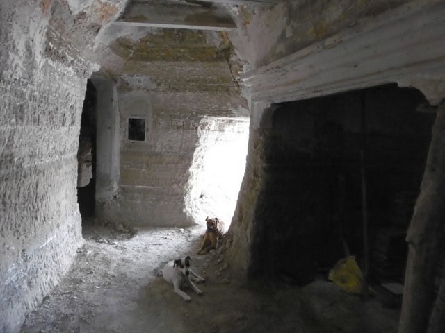Cave house interior in Benamaurel, Granada, showcasing rustic stone walls and unique underground liv.