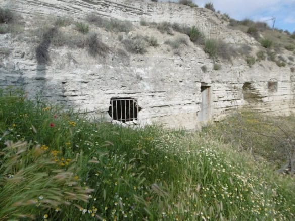 Unique cave house with a small window and door in a rocky hillside, surrounded by wildflowers and na.