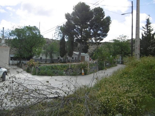 Cave house in Benamaurel, Granada with lush greenery and rural surroundings.