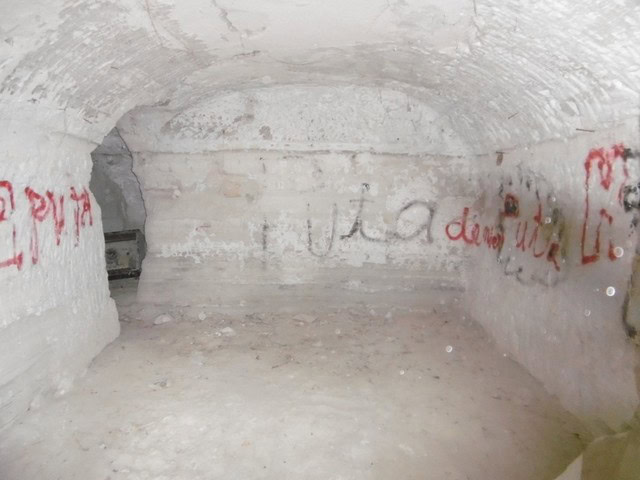 Interior view of a cave house in Benamaurel, Granada, showcasing rustic stone walls and arched ceili.