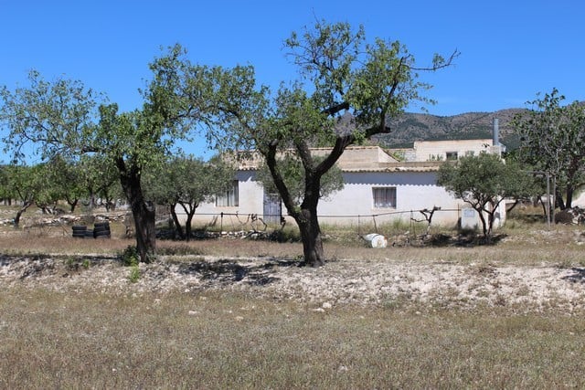 Rural property with trees and a white house in Lucar, Almeria, ideal for countryside living.
