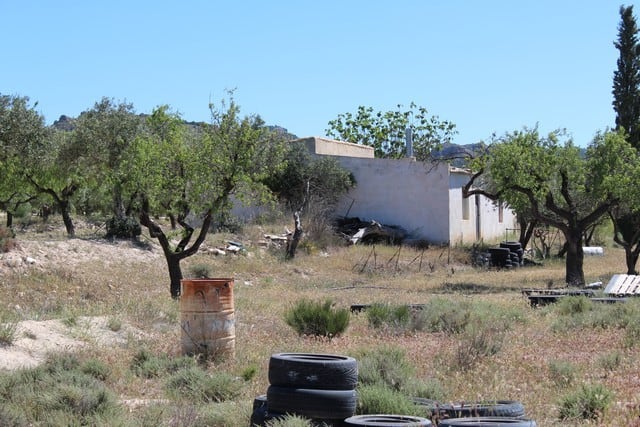 Rural property with trees and open land in Lucar, Almeria, Spain.