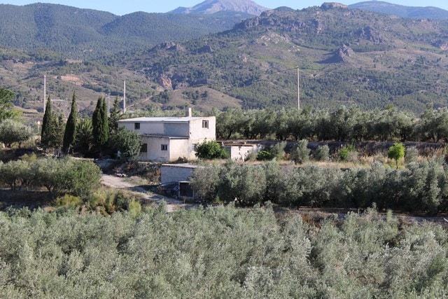 Rural property in Tijola, Almeria, surrounded by lush olive groves and scenic mountain views.