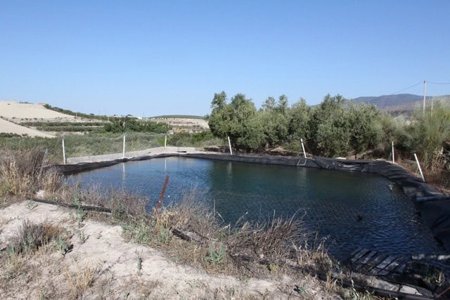 Rural property with a pond in Tijola, Almeria, ideal for countryside living and agricultural use.