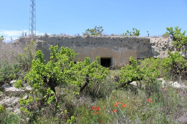 Cave house in Caniles, Granada, surrounded by greenery and wildflowers, with a clear blue sky overhe.